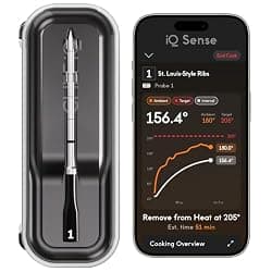 Top 10 Wireless Meat Thermometers (2026)